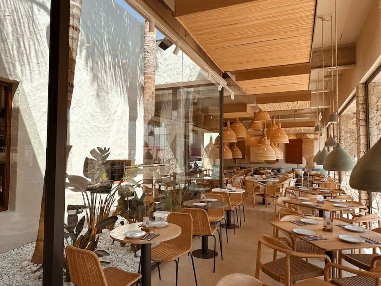 saona alfafar 5 1 1 1 768x576