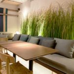 saona castellon 150x150