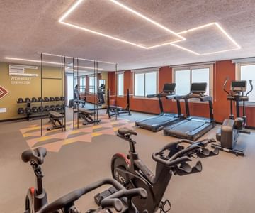 gimnasio royal regency